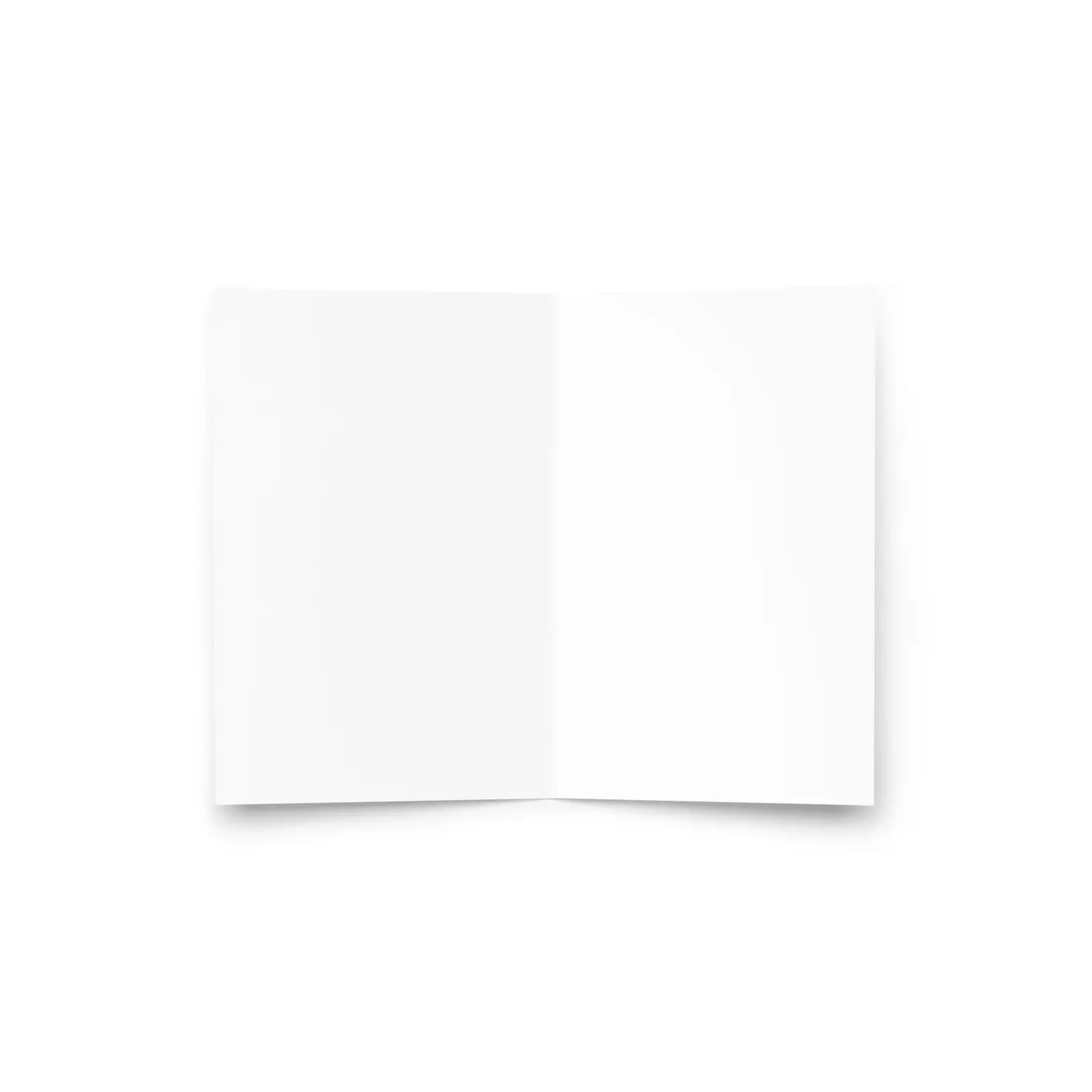 Greeting Card 4x6 Inside 6a624dab00423.jpg